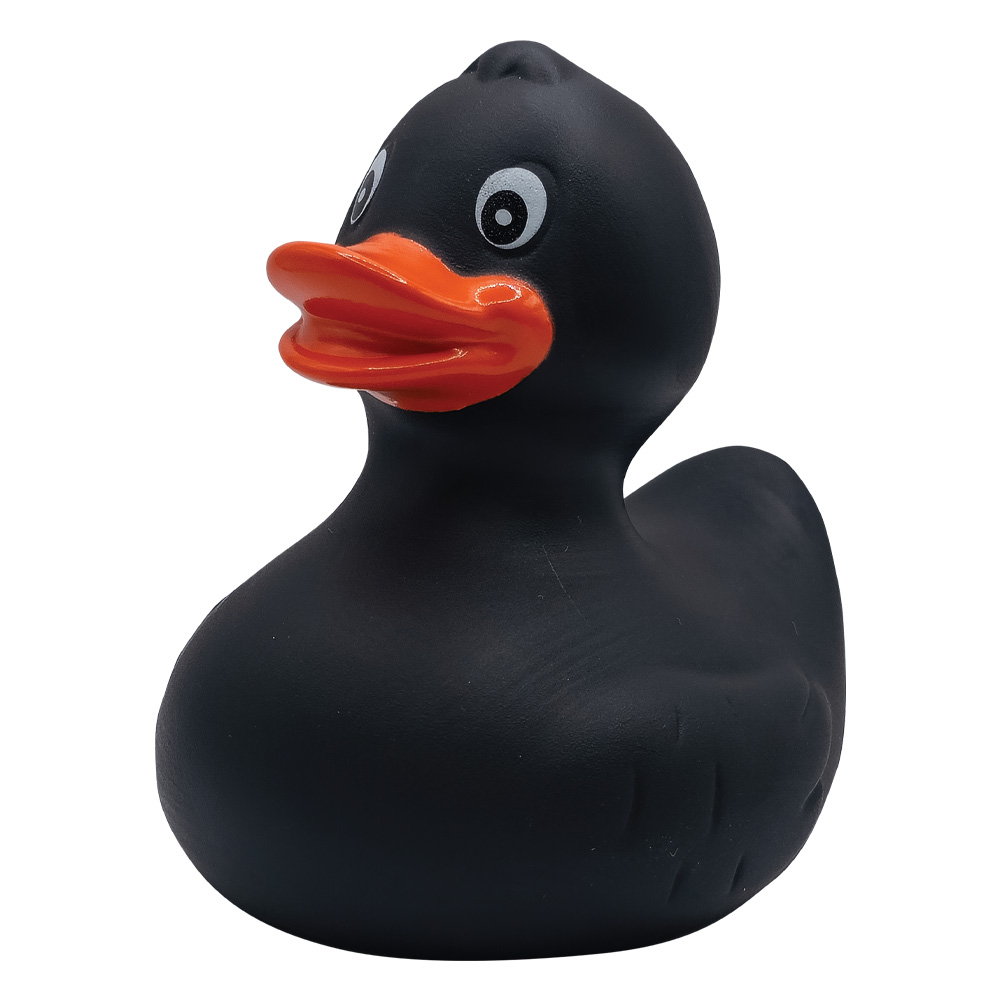 Picture of Rubber Duck
