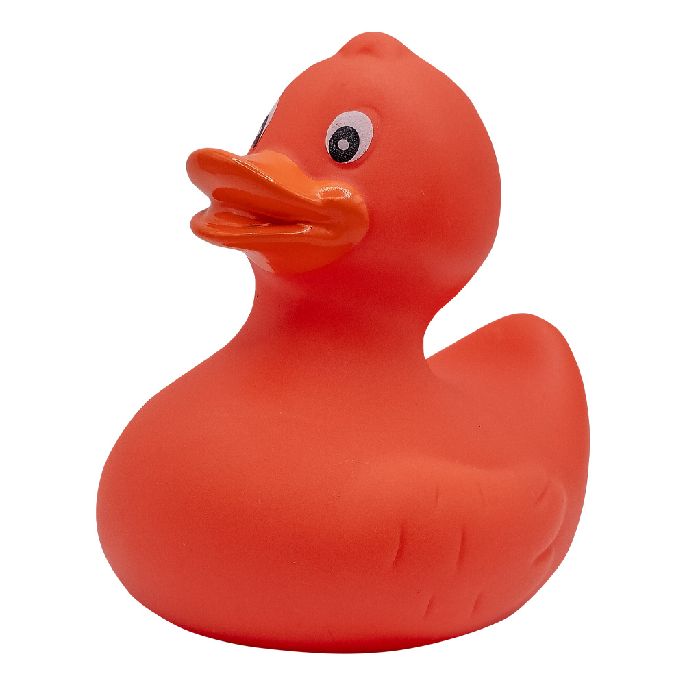 Picture of Rubber Duck