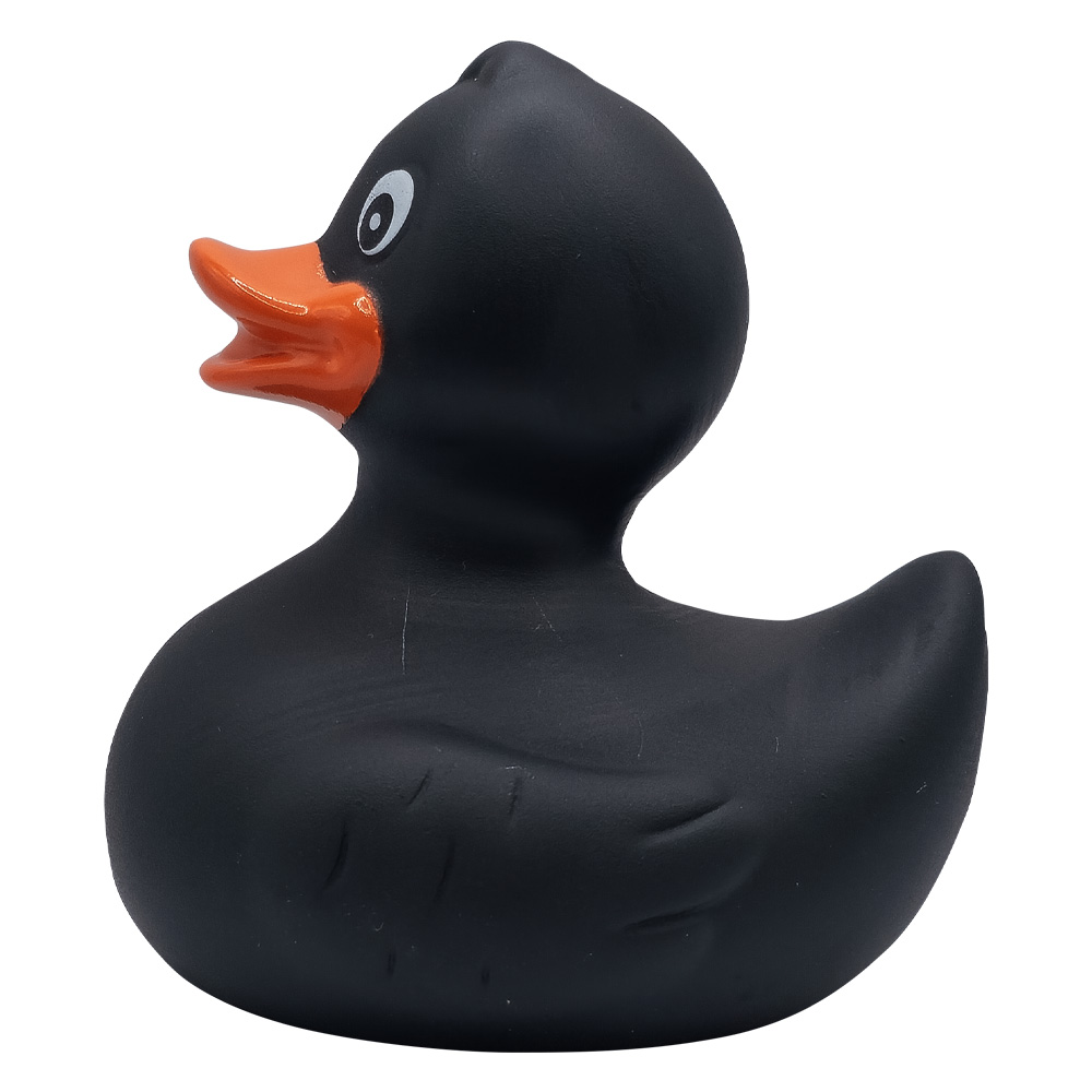 Picture of Rubber Duck