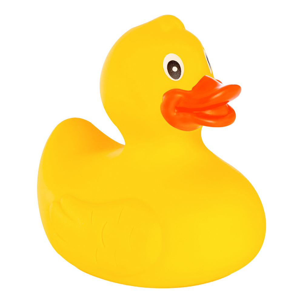 Picture of Rubber Duck