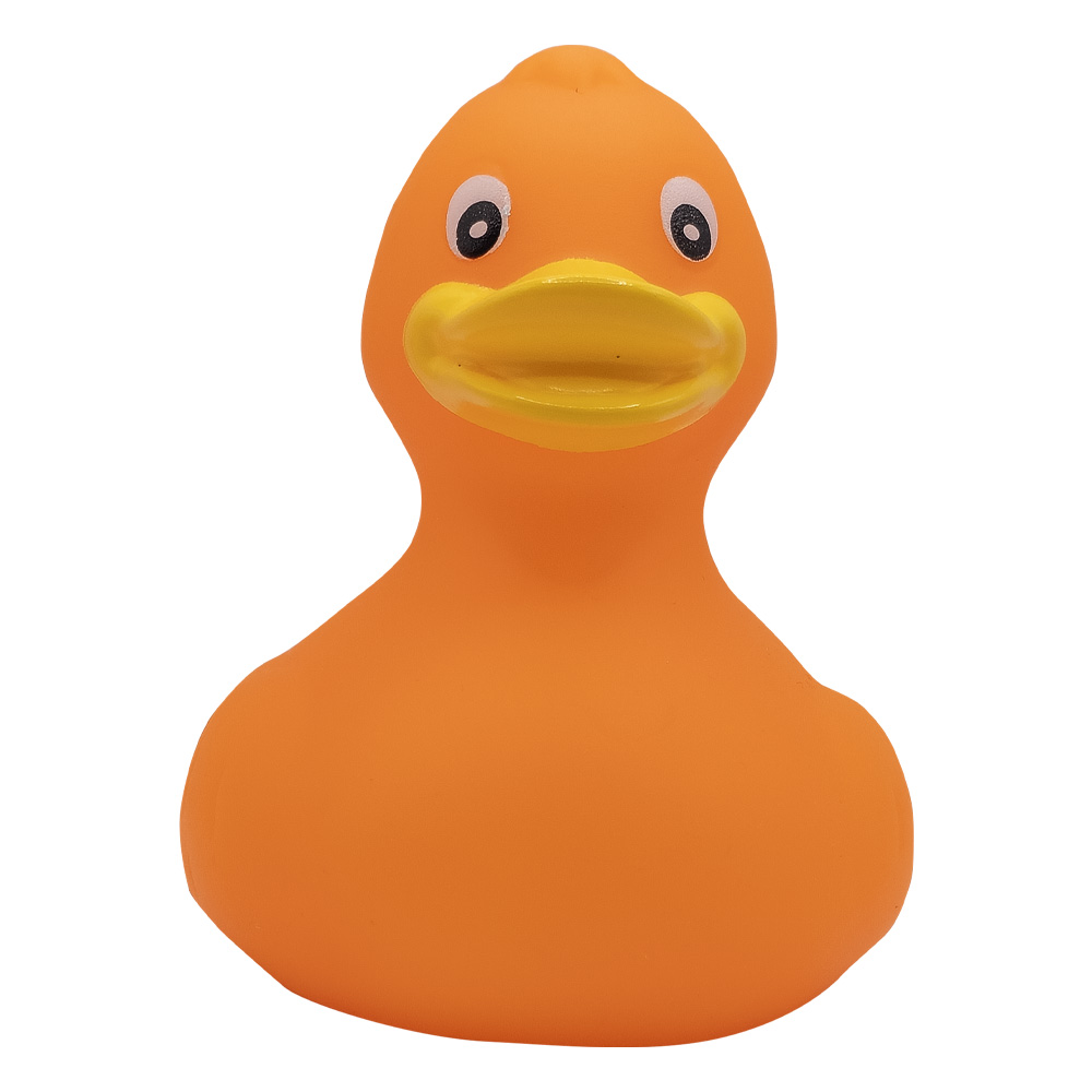 Picture of Rubber Duck