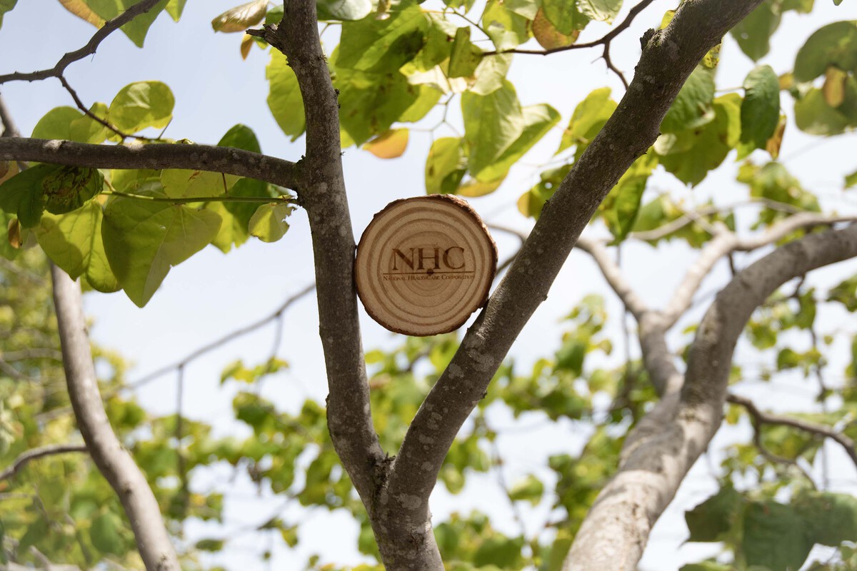 Picture of Natural Coaster