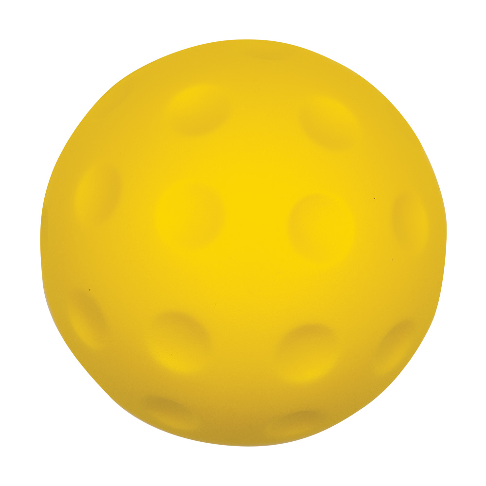 Picture of Pickle Ball