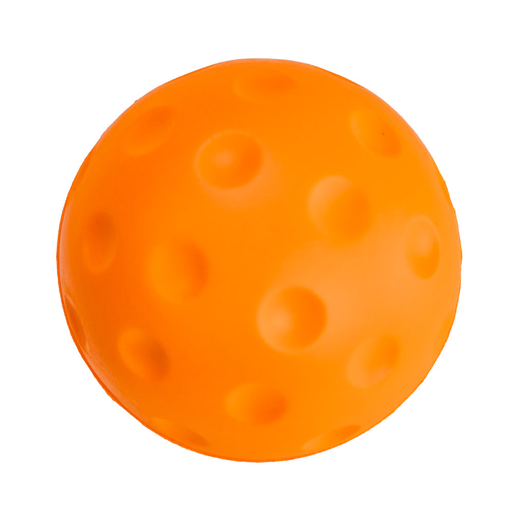Picture of Pickle Ball
