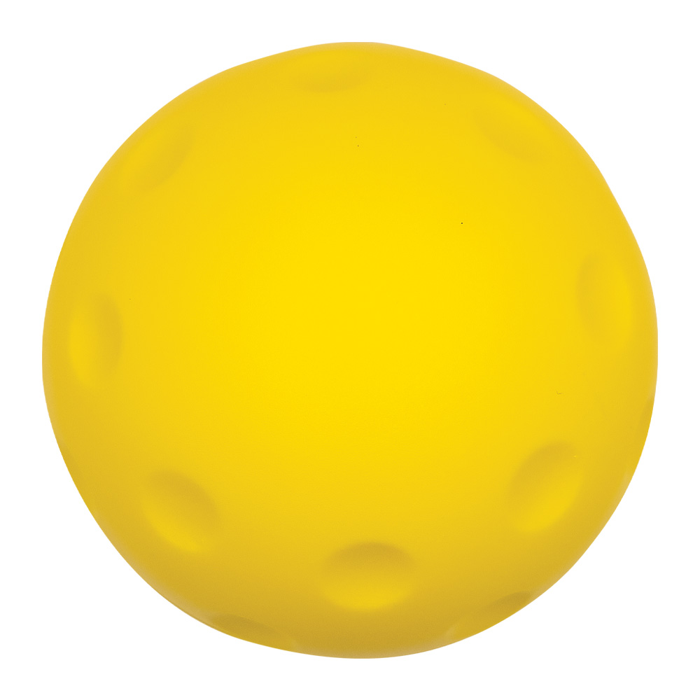 Picture of Pickle Ball