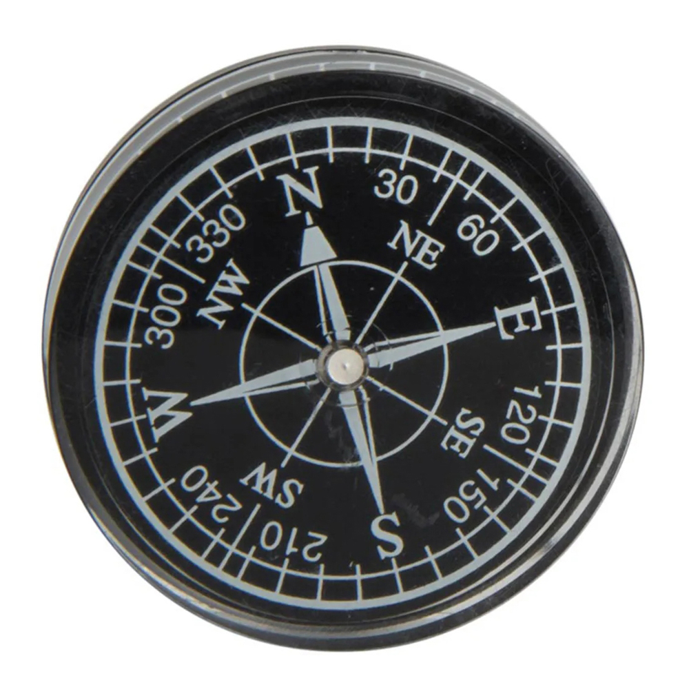 Picture of Small Resin Compass
