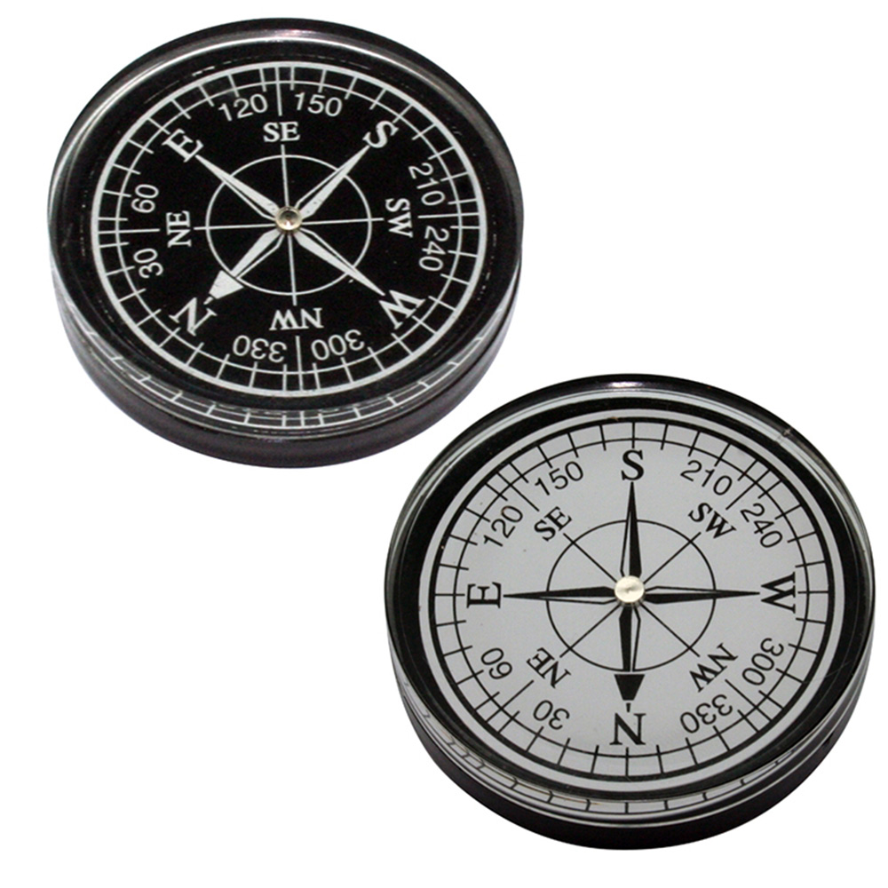 Picture of Small Resin Compass