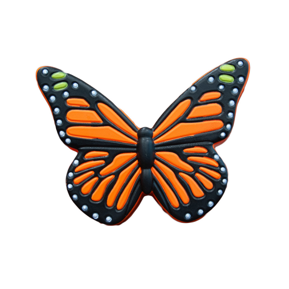 Picture of Butterfly Orange