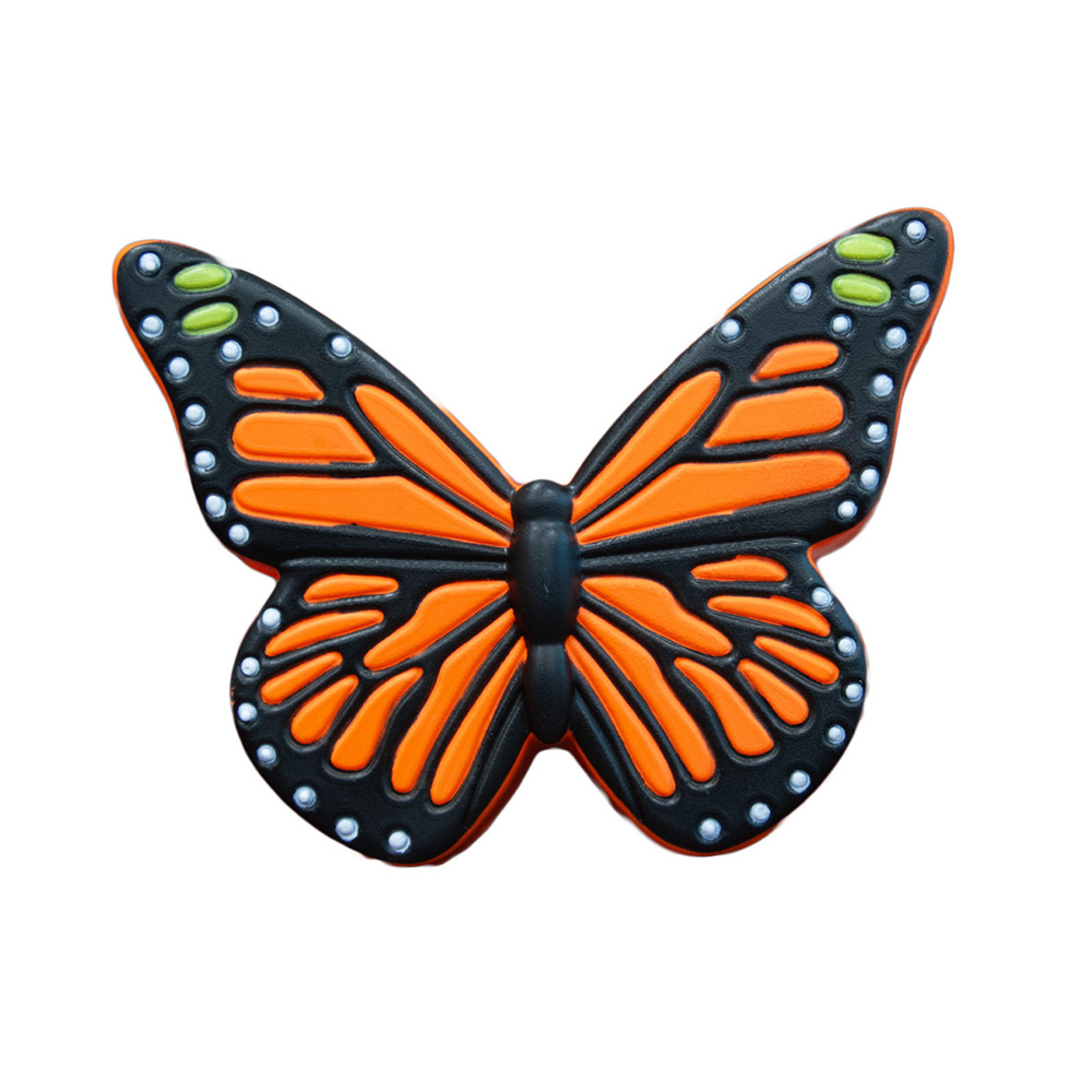 Picture of Butterfly Orange