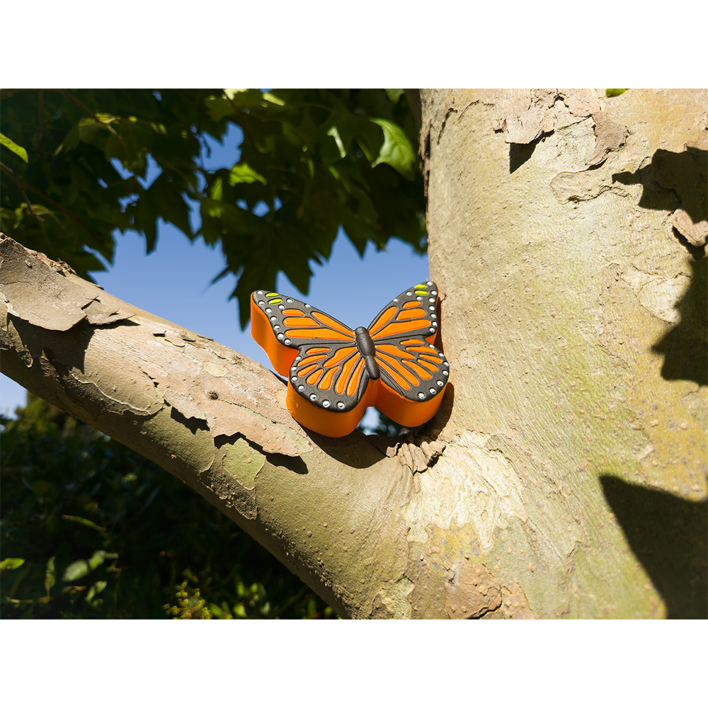 Picture of Butterfly Orange