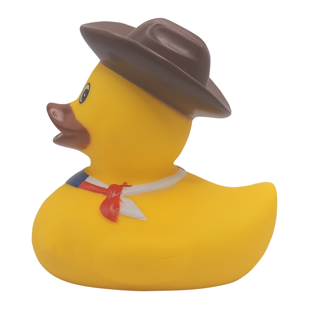 Picture of Cowboy Duck