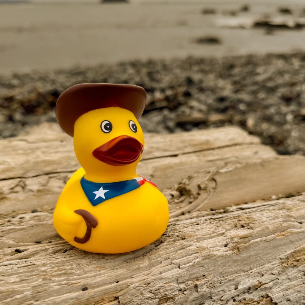 Picture of Cowboy Duck