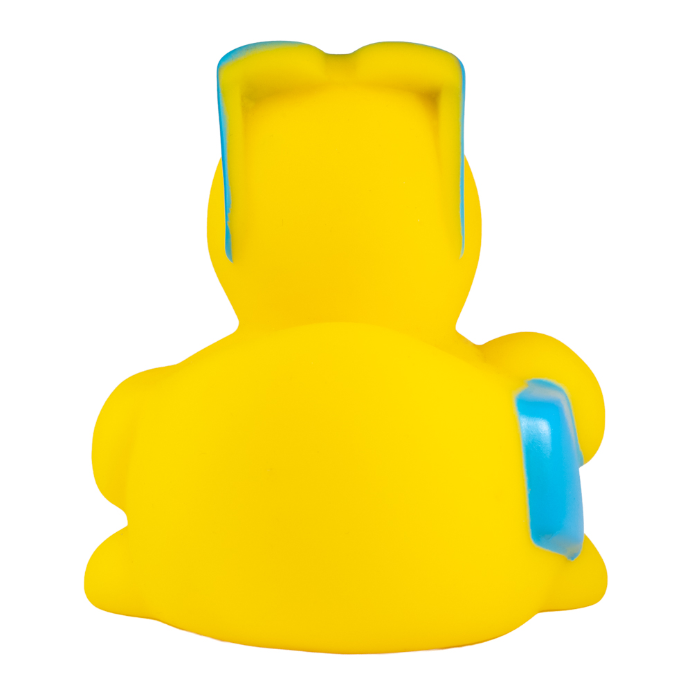 Picture of Surfing Duck