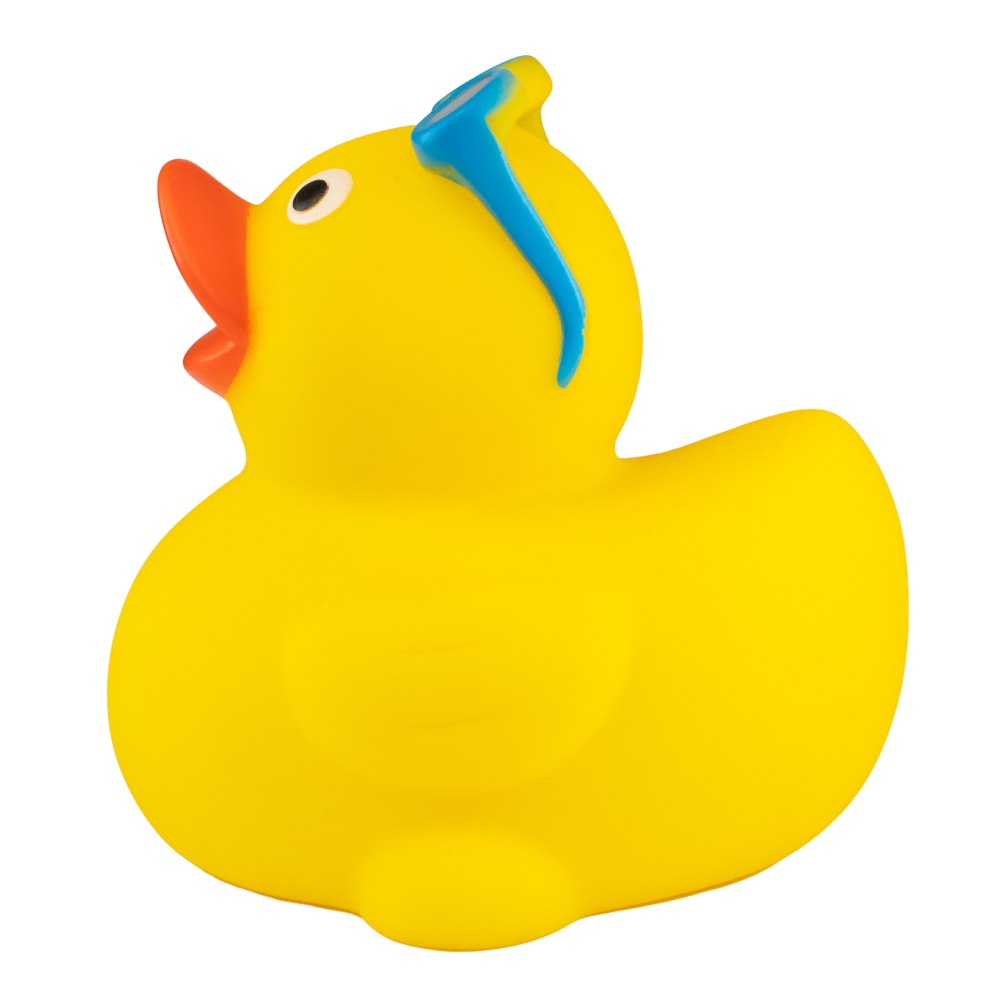 Picture of Surfing Duck