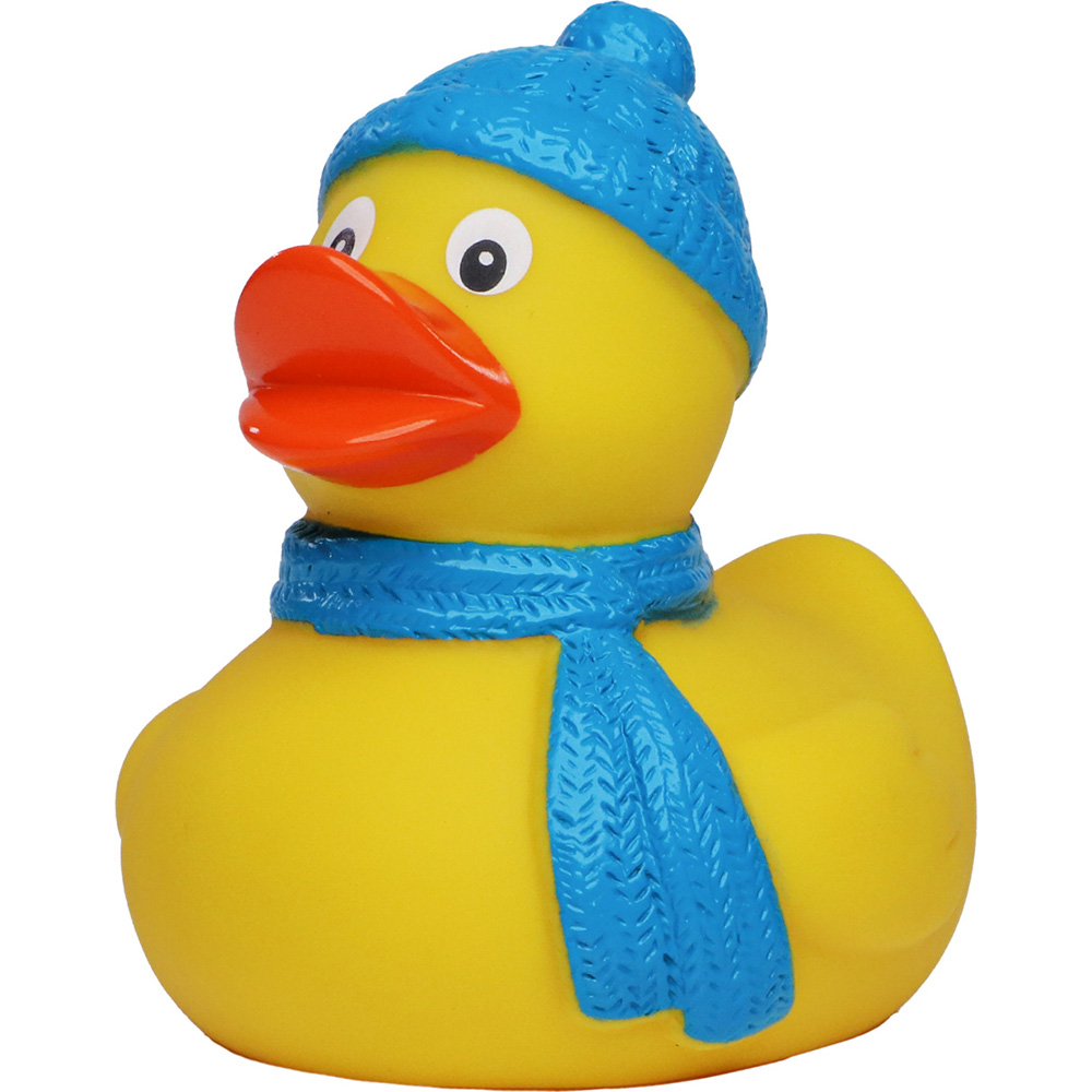 Picture of Winter Duck