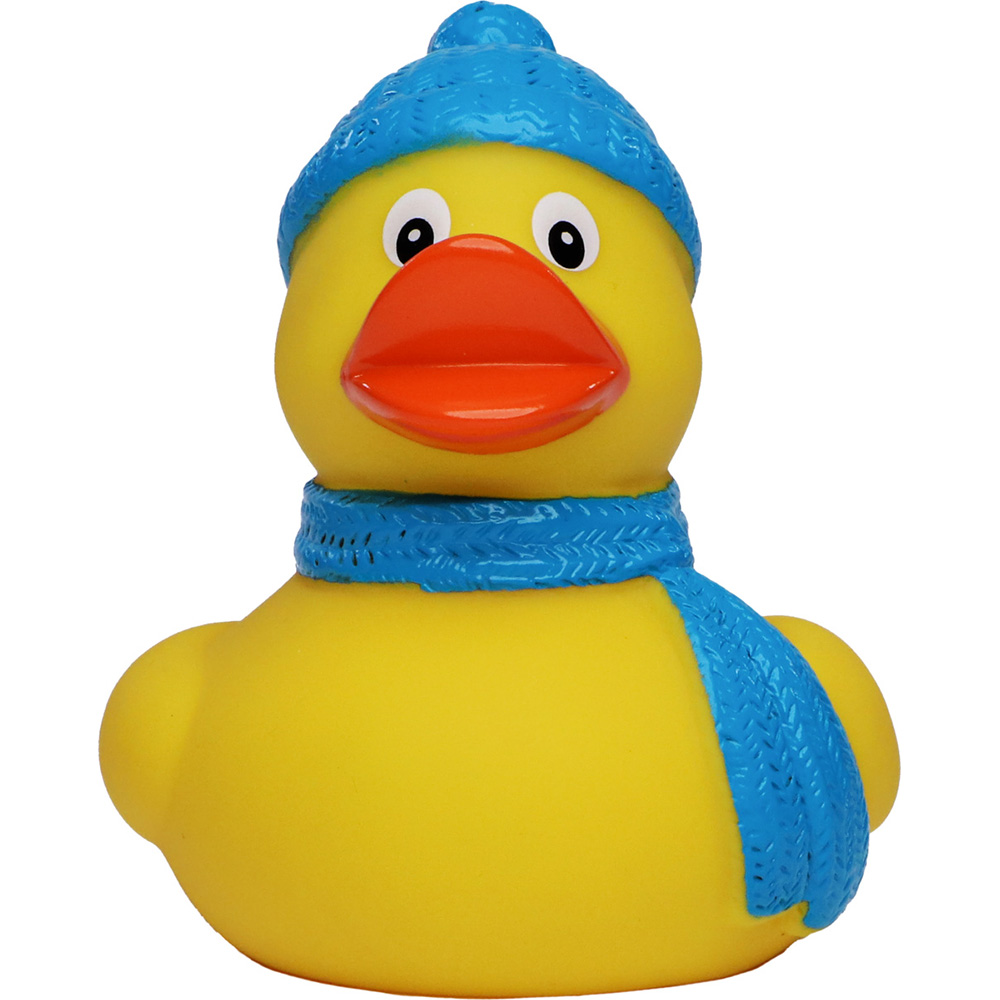 Picture of Winter Duck