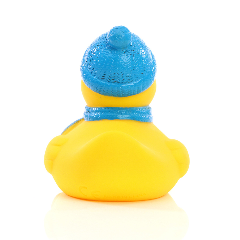 Picture of Winter Duck