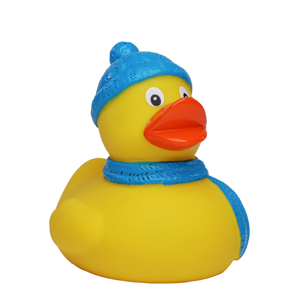 Picture of Winter Duck