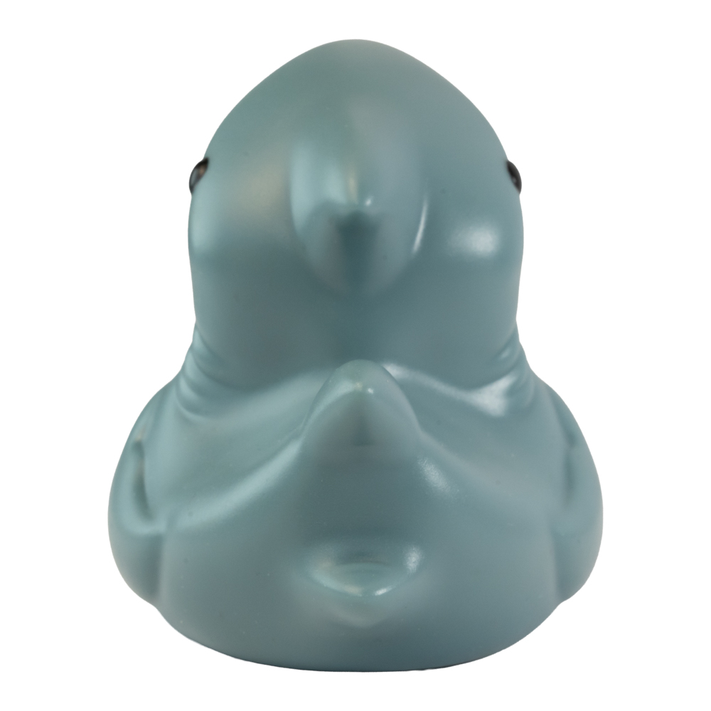 Picture of Shark Duck