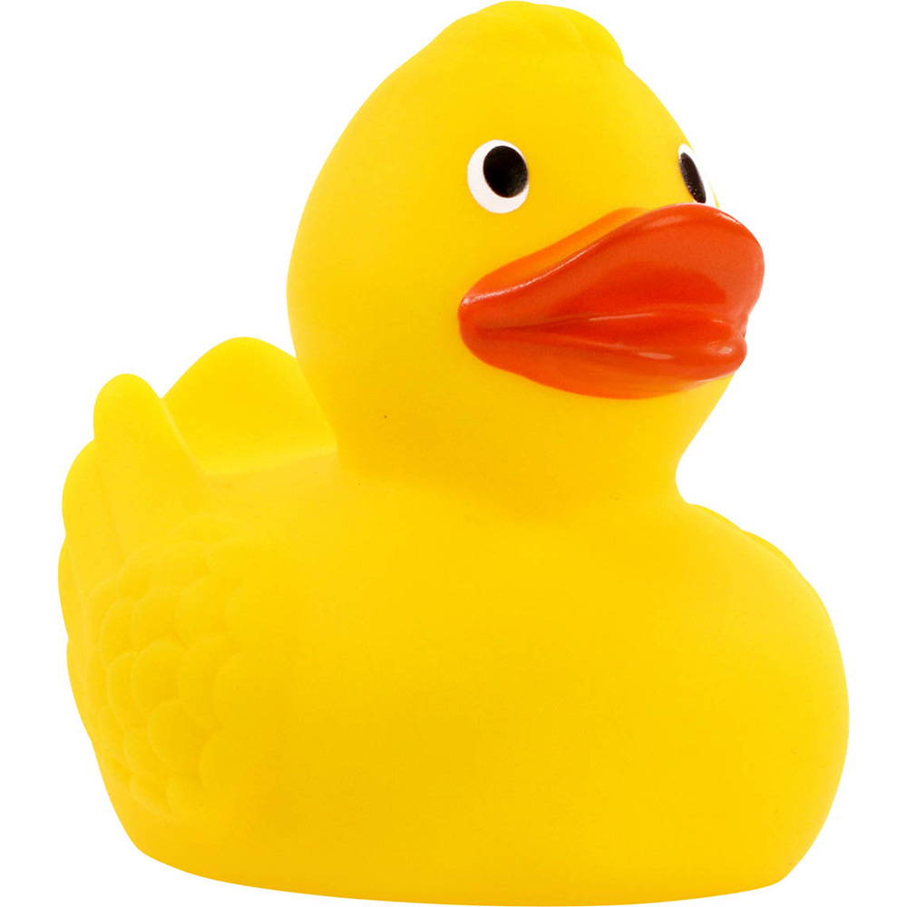 Picture of Duck With Wings
