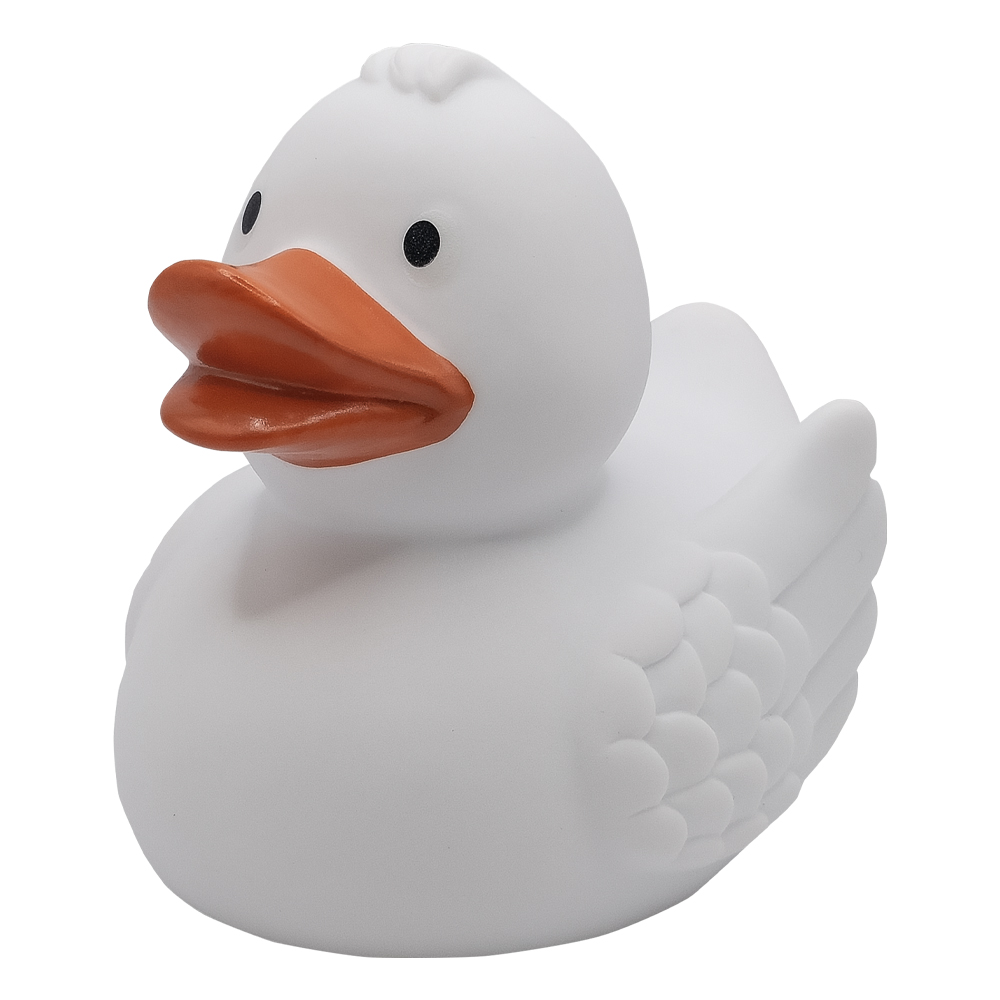 Picture of Duck With Wings