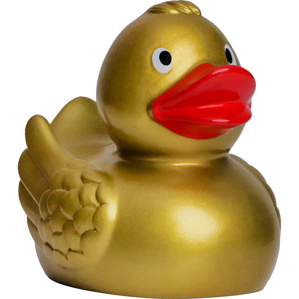 Picture of Duck With Wings