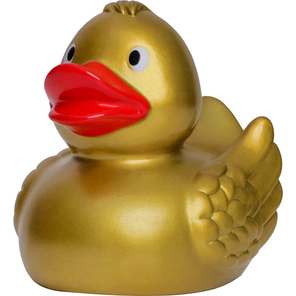 Picture of Duck With Wings