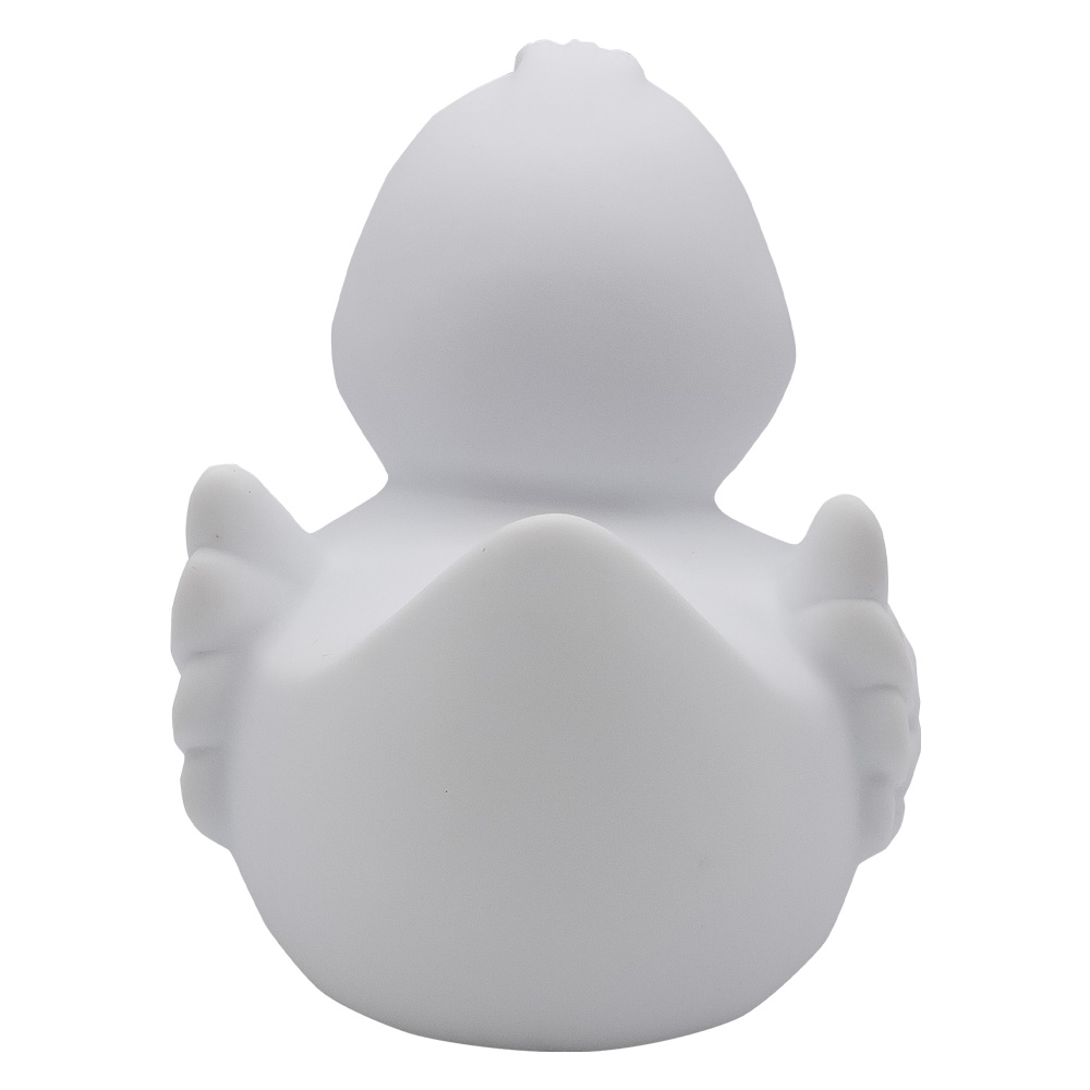 Picture of Duck With Wings
