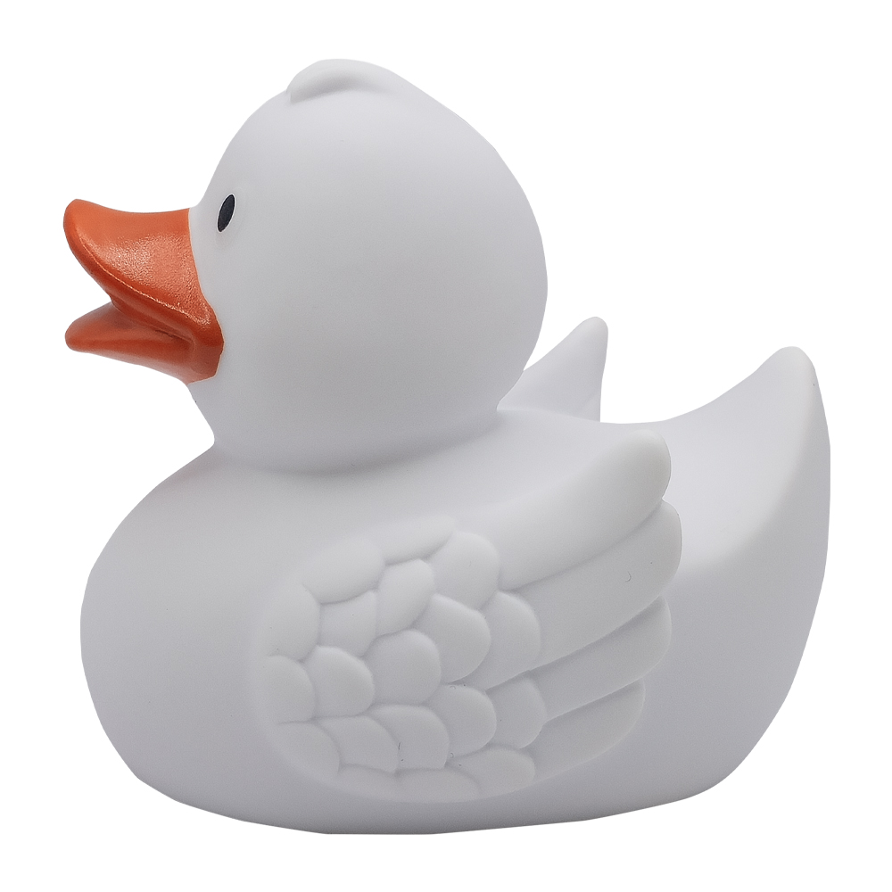 Picture of Duck With Wings