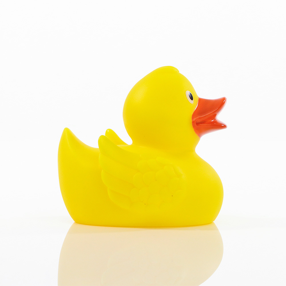 Picture of Duck With Wings