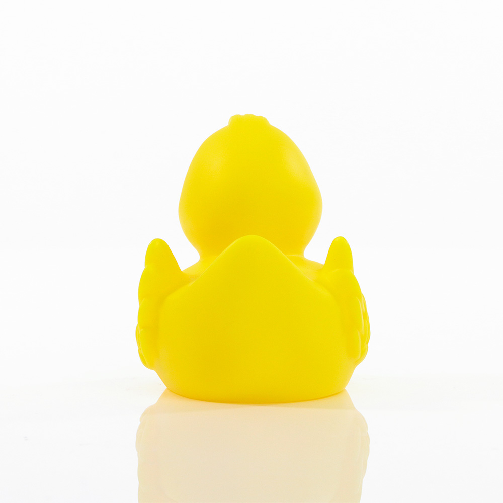 Picture of Duck With Wings