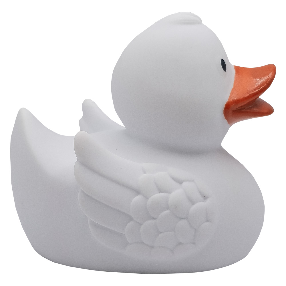 Picture of Duck With Wings