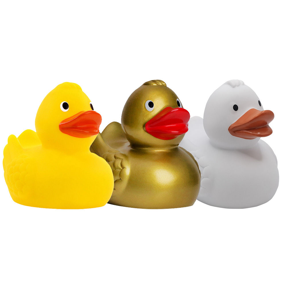 Picture of Duck With Wings