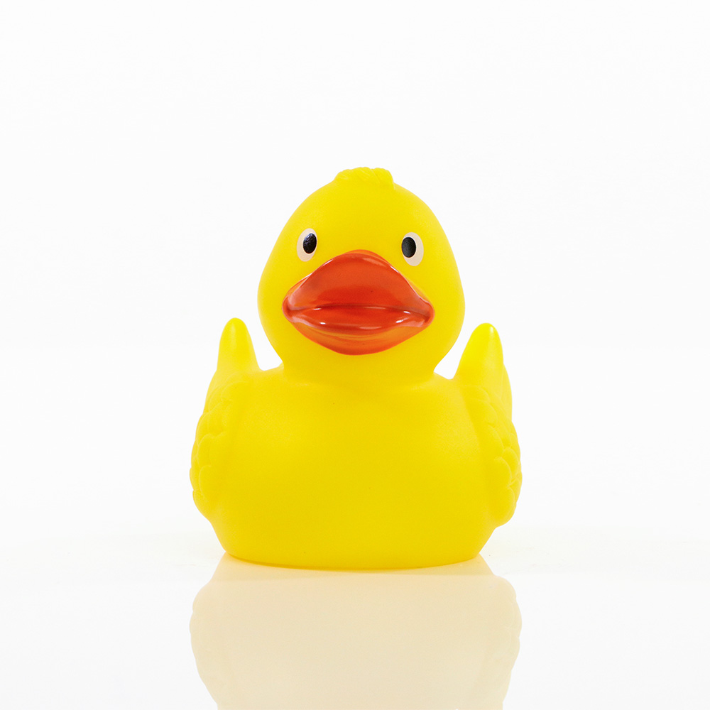 Picture of Duck With Wings