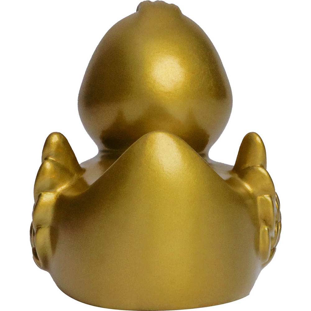 Picture of Duck With Wings