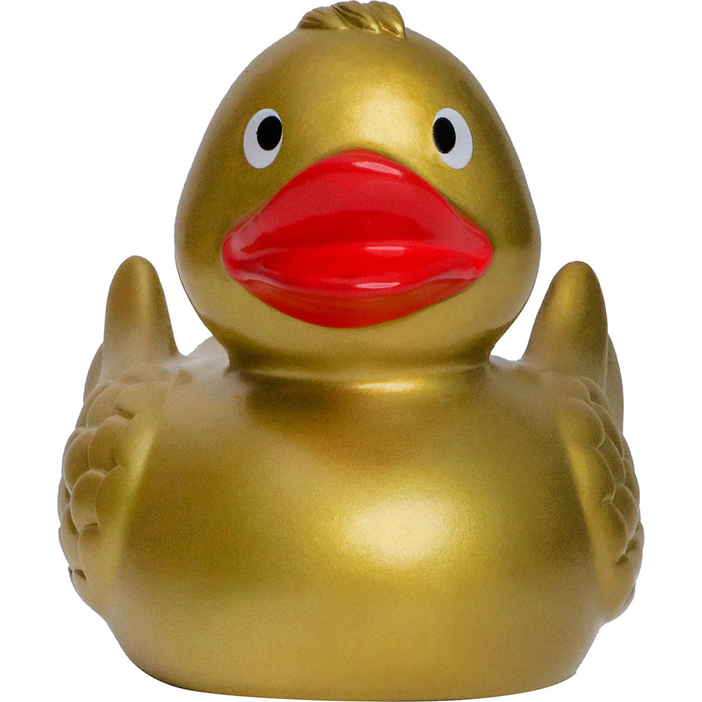 Picture of Duck With Wings