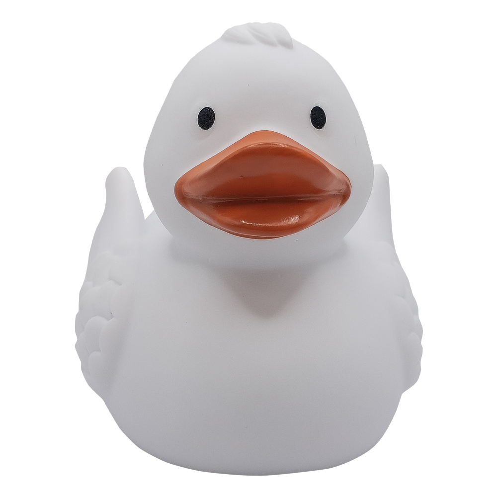 Picture of Duck With Wings