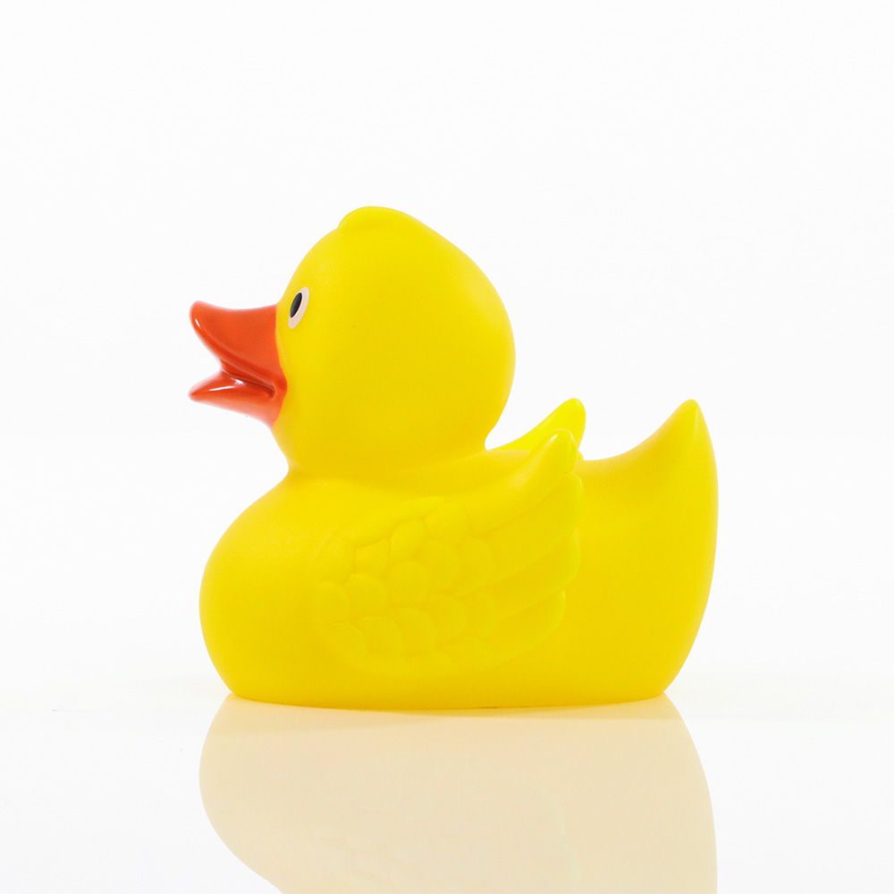 Picture of Duck With Wings