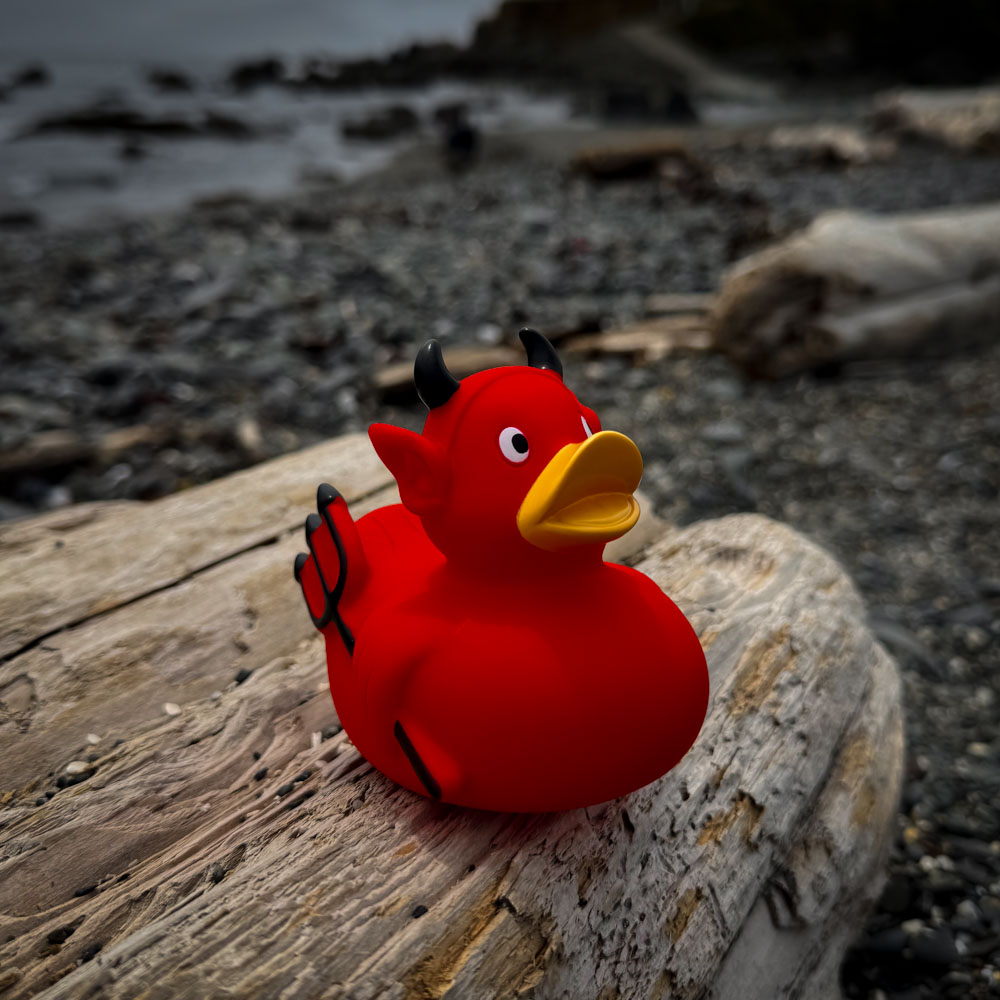 Picture of Devil Duck