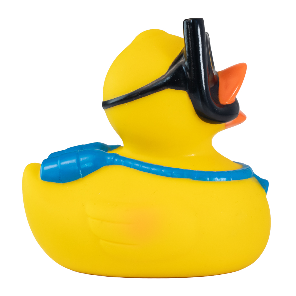 Picture of Snorkel Duck