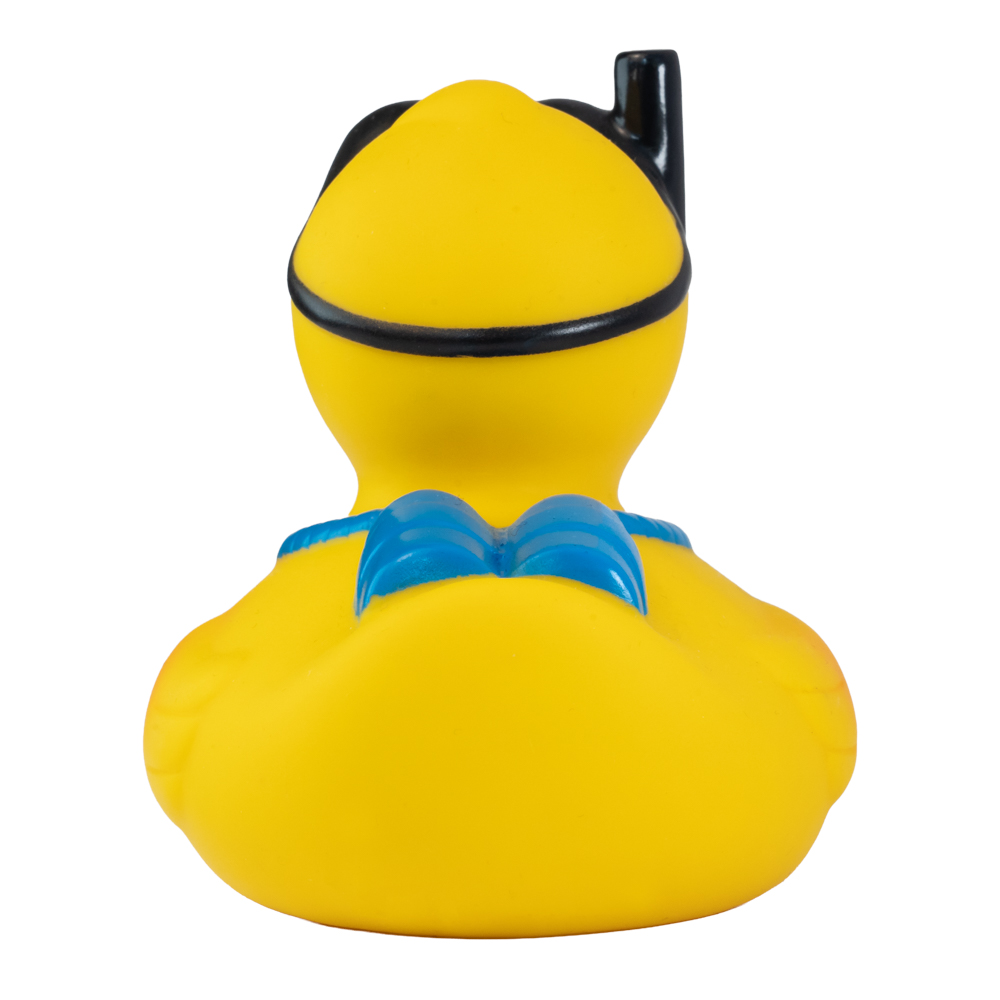 Picture of Snorkel Duck