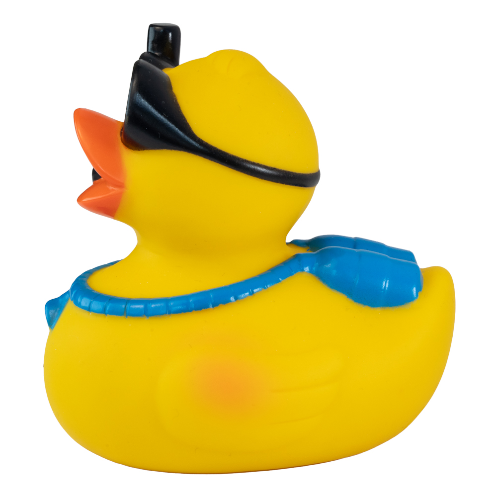 Picture of Snorkel Duck