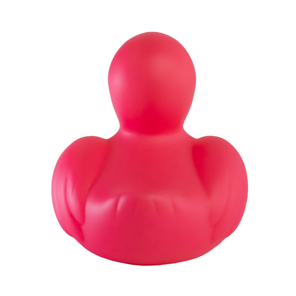 Picture of Mini Flamingo Duck