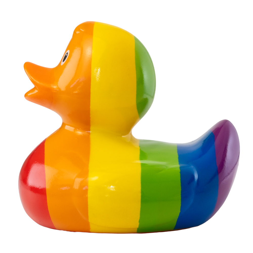 Picture of Rainbow Duck