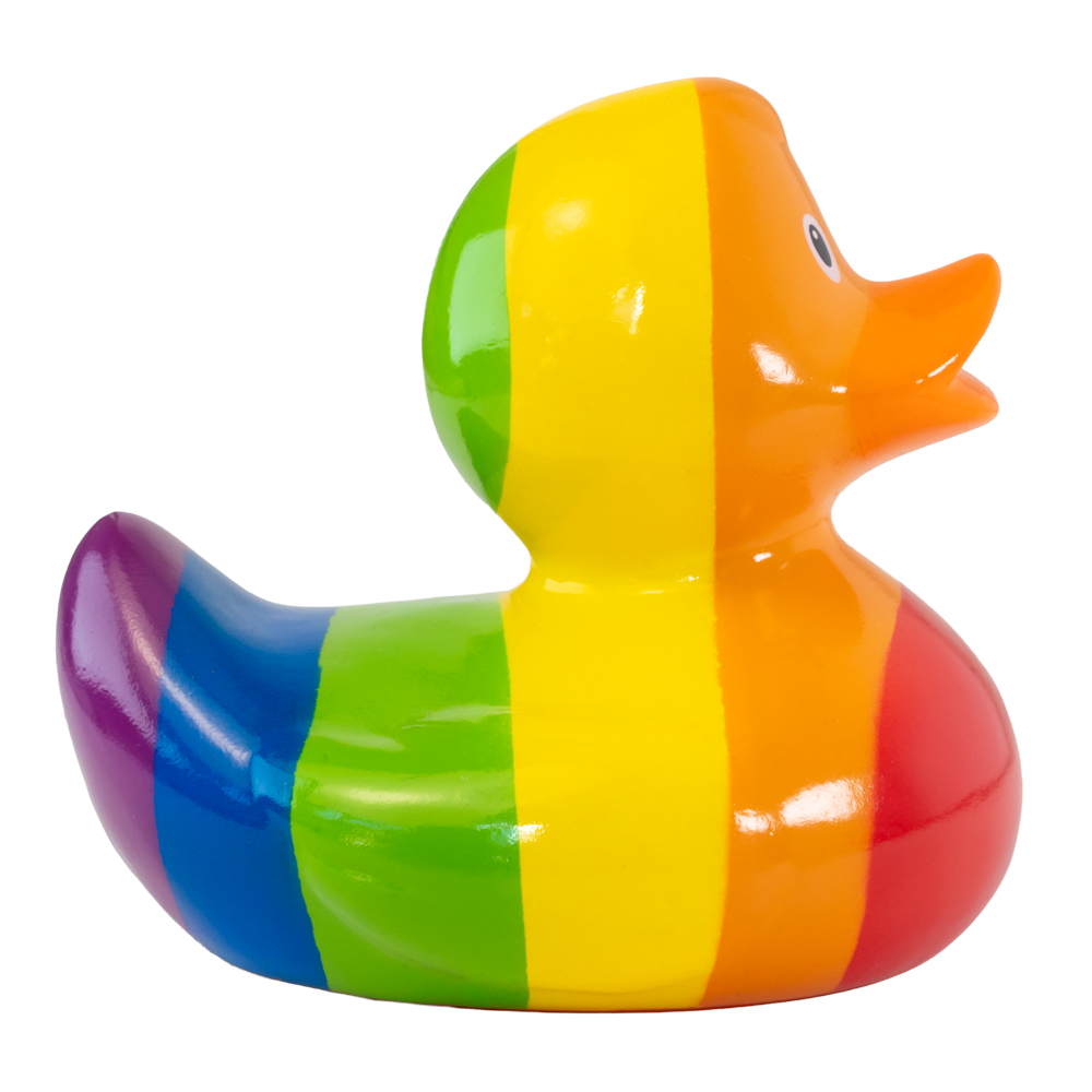 Picture of Rainbow Duck