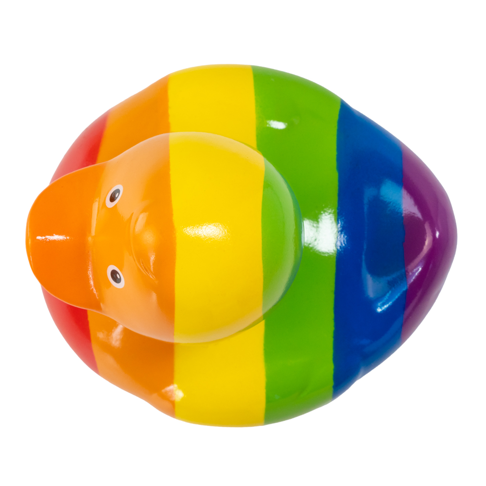 Picture of Rainbow Duck