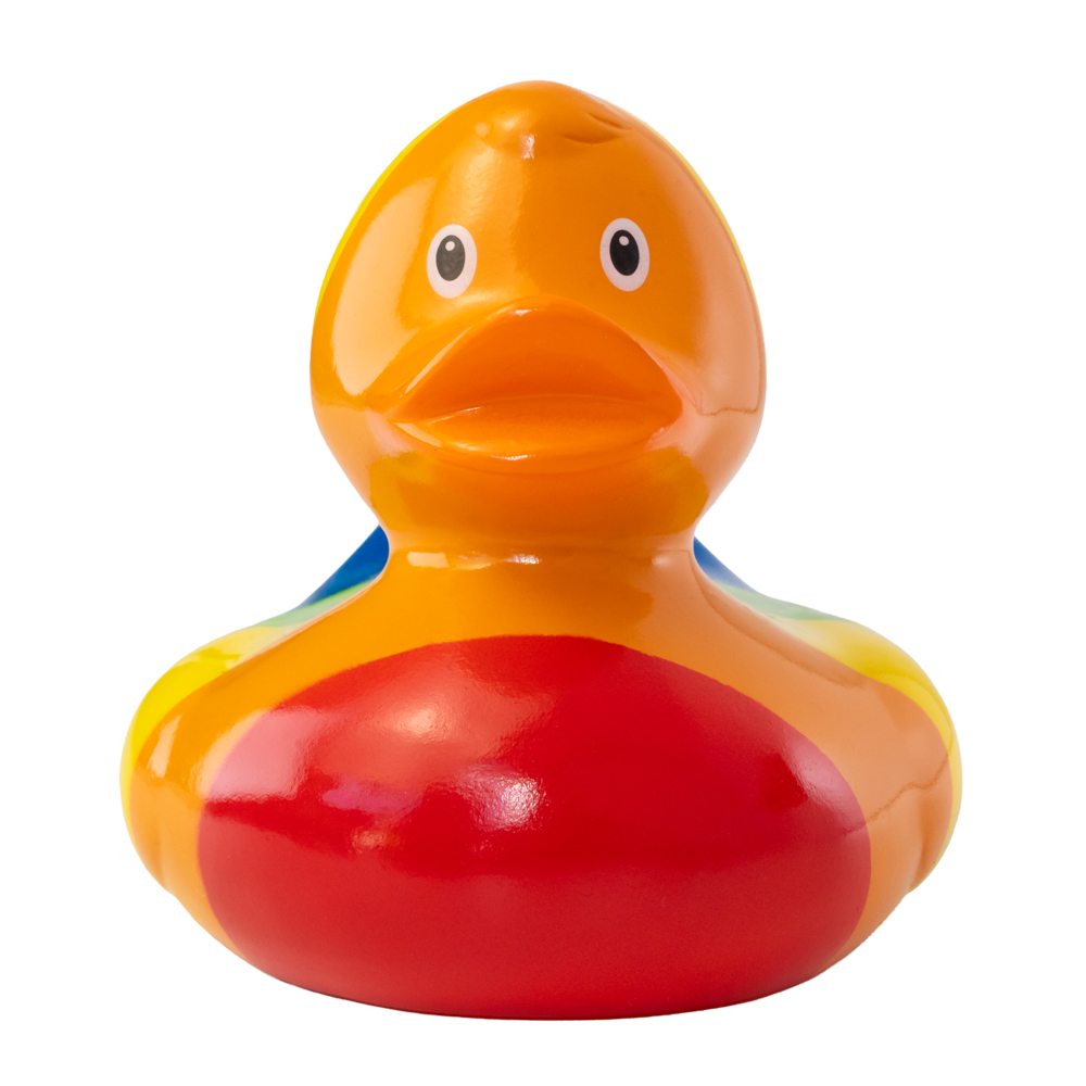 Picture of Rainbow Duck