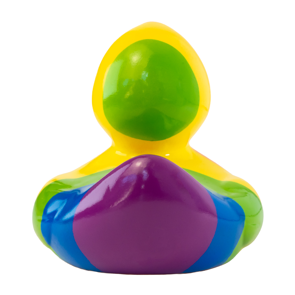 Picture of Rainbow Duck