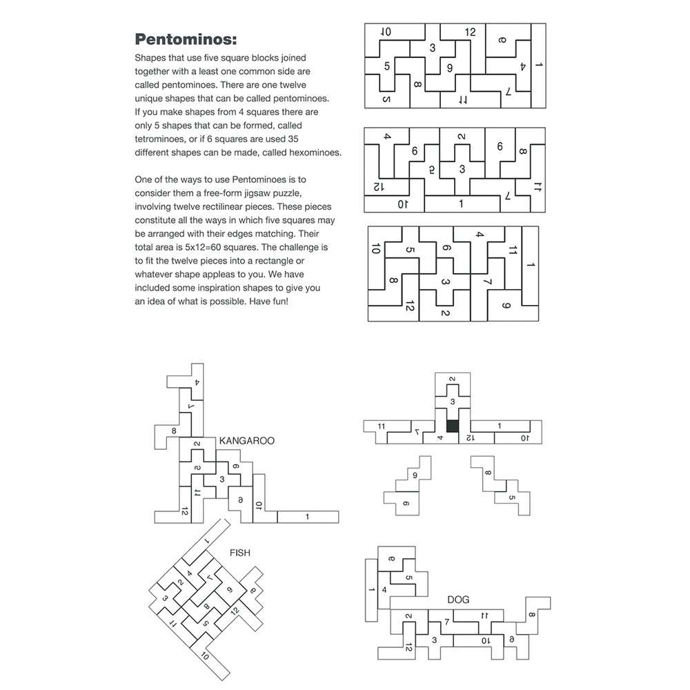 Picture of Shapes Challenge Wooden Puzzle