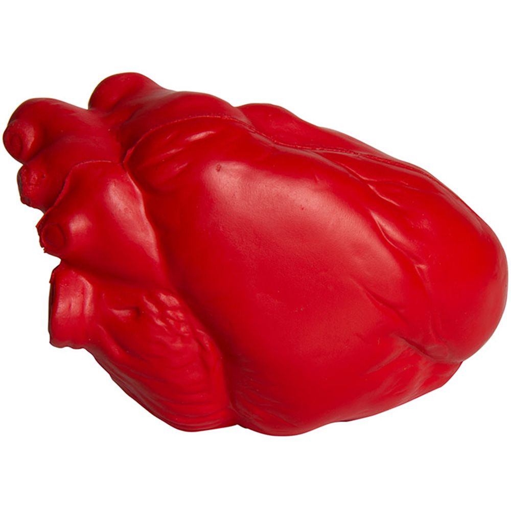 Picture of Heart (Anatomical) Squeezies® Stress Reliever
